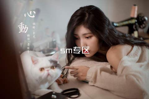 sm专区